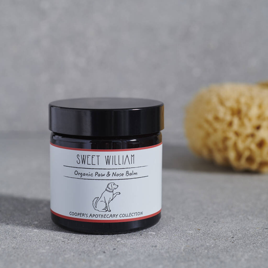 Organic Dog Paw And Nose Balm