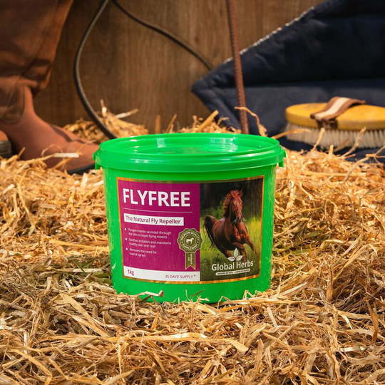 Global Herbs - Flyfree - 1 Kg - FLYFREE1KG