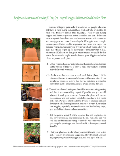 Beginners Lessons On Growing 50 Day Veggies in Pots Or Small Garden Plots