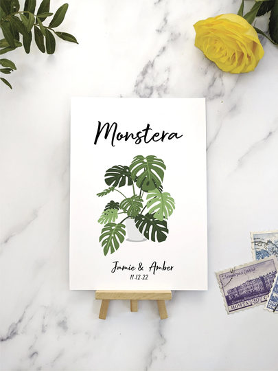 House Plant Wedding Table Names - Perfect For Lovers