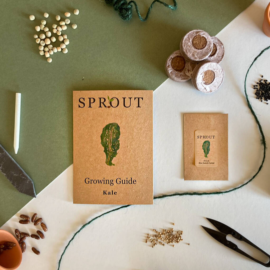 Grow Your Own Kale Seeds Gift Set
