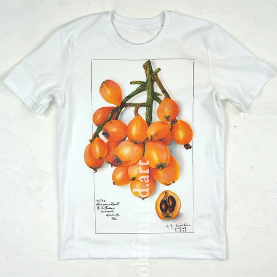 Loquat | 1908 - Unisex Organic T-Shirt, Vintage Style Botany T-Shirt