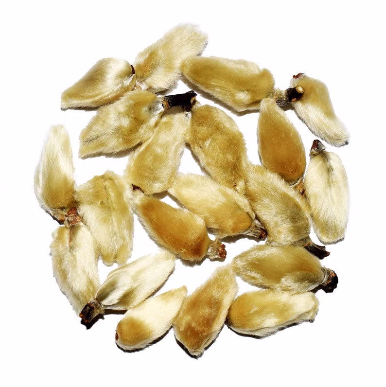 Organic Dried Magnolia Buds/Available From 2Oz-32Oz | 57G-907G
