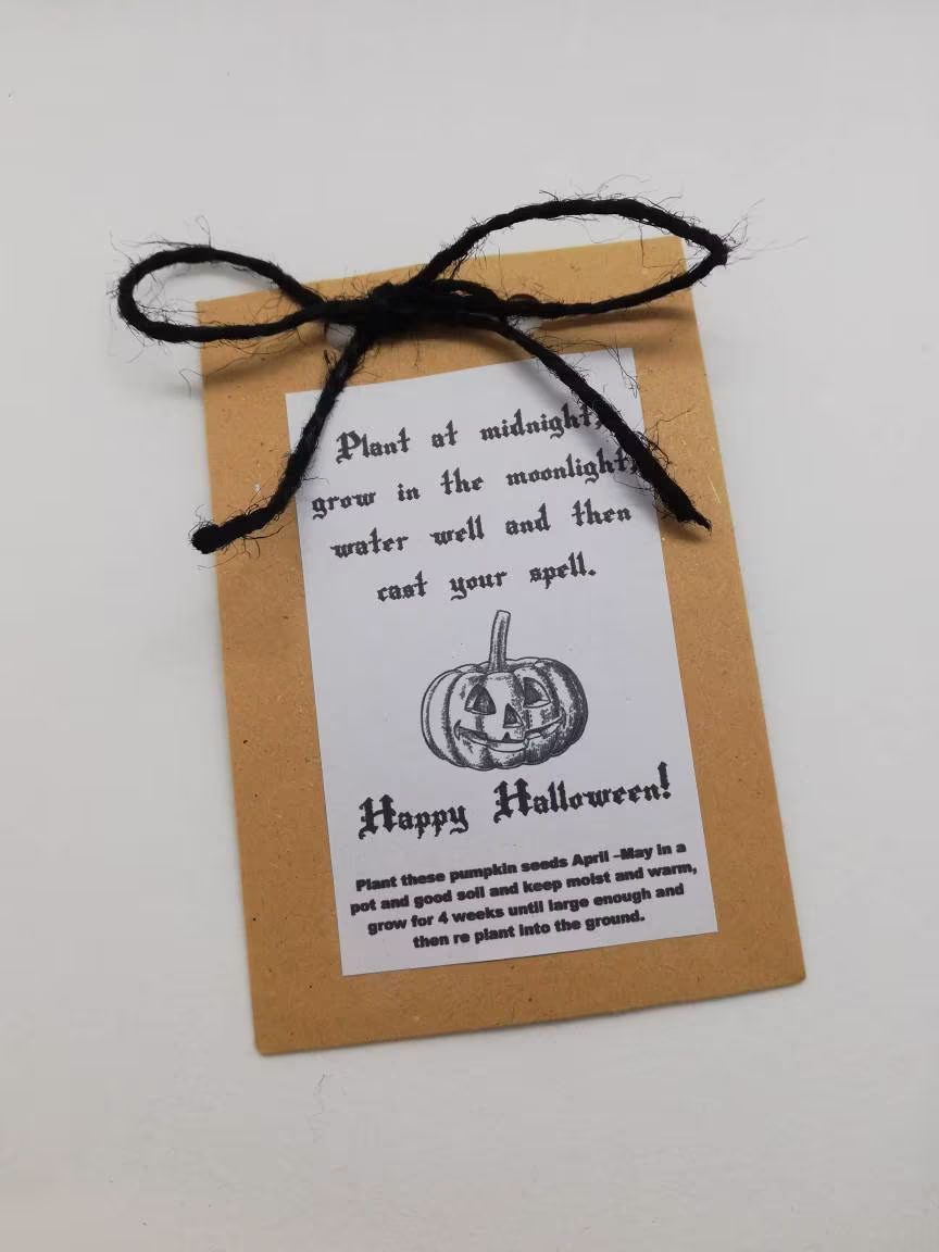 Pumpkin Seed Packet, Halloween Gift For Kids, Treat Alternative, Vegan Halloween, Gift