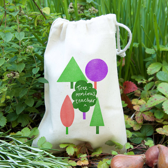 Treemendous Teacher Gift Bag With Seeds