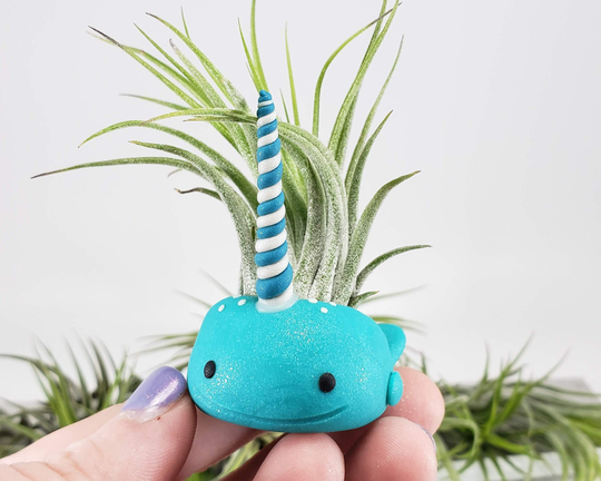 Narwhal Air Plant Holder, Ocean Decor, Cute Desk Figurine, Small Planter, Mom Gift, Gift