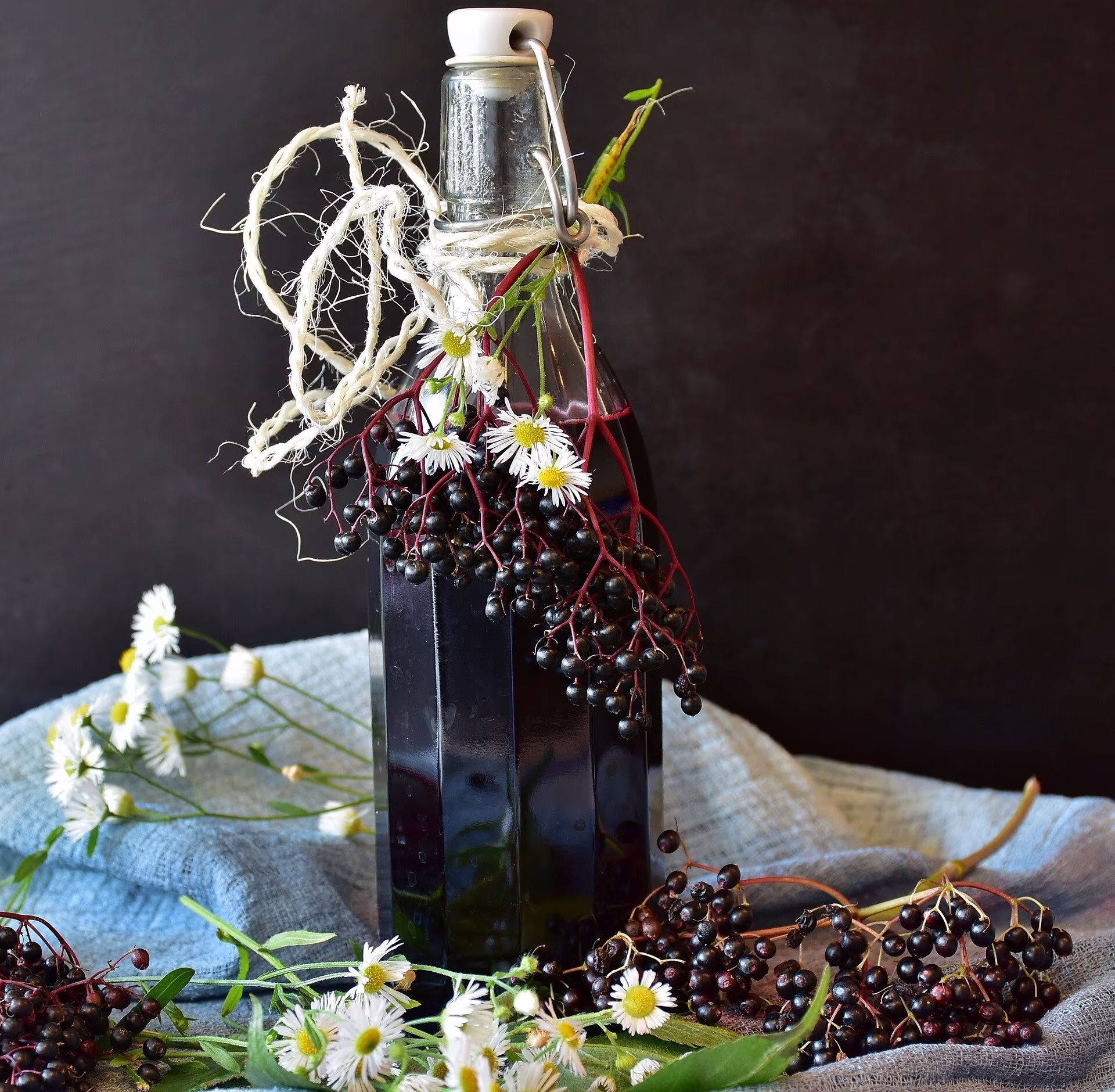 Elderberry Syrup Kit Or Chocolate | Dry Ingredients Only