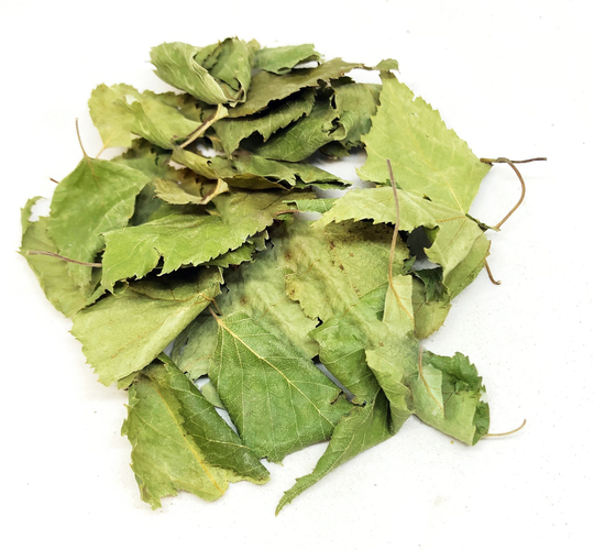 Dried Organic Birch Leaf/Available From 2Oz-32Oz | 57-907G Betula Pendula