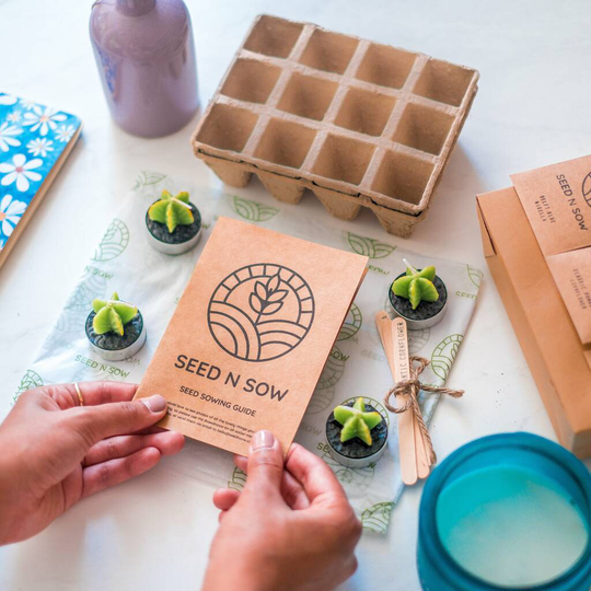 Grow Your Own Flowers And House Plants Seed Kit