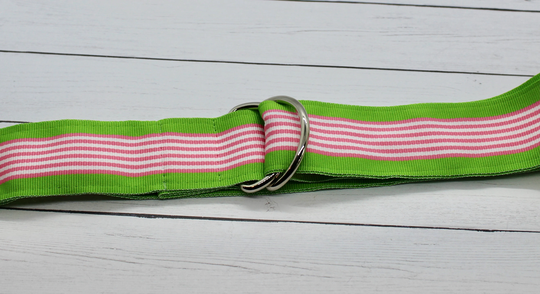Women's Pink & Green Striped Ribbon Belt, All Season Gold Or Silver Hardware, Gift For Her, Spring Summer Belt
