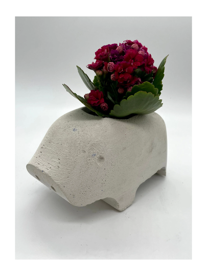 Pig Planter | Piggy Animal Cute Indoor Cactus Gift Present Container Pot Succulent