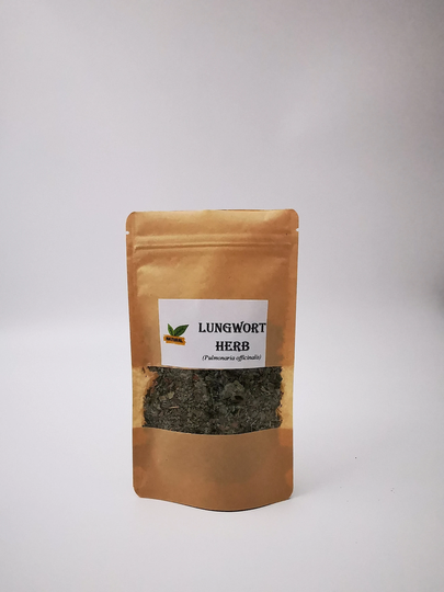 Lungwort | Organic Herb Tea Pulmonaria Officinalis
