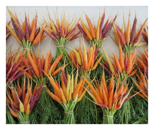 Vegetable - Carrot Rainbow Mix Organic 200 Premium Quality Seeds 1st Class