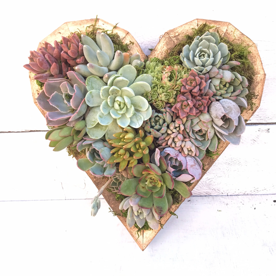 Heart Shaped Succulent Arrangement, Planter, Living Wall, Bff, Gift For Her, Valentines Day, Sympathy Gift, Love, Mothers Succulents