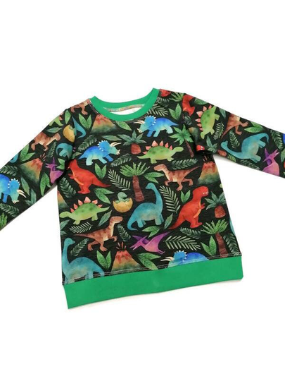 Dinosaur Tshirt, Organic Baby & Kids T-Shirt, Handmade in The Uk. Gift For Christmas