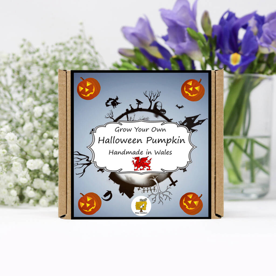 Grow Your Own Halloween Pumpkin Plant Kit