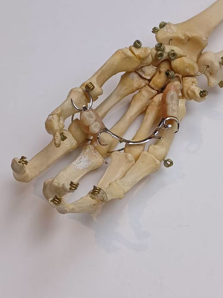 Creepy Human Dentures No. 5