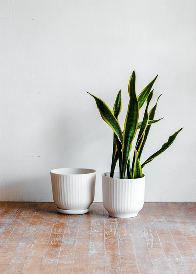 Large Ribbed Ceramic Planter, White Porcelain Plant Pot, Ridged Pot With Drainage, Modern Planter