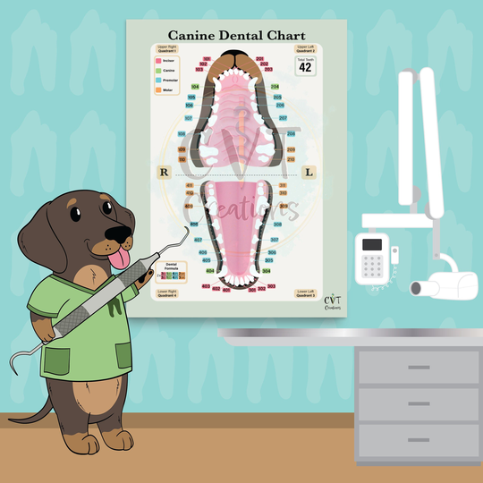 Canine Dental Chart Print