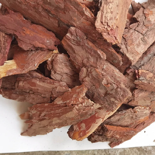 500G Dried Herbs Pine Bark, Song Shu Pi