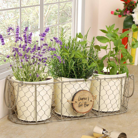 Personalised Set Of Three Gin Herb Planters With Basket