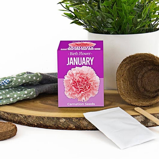 Grow Your Own Birth Flower Kit