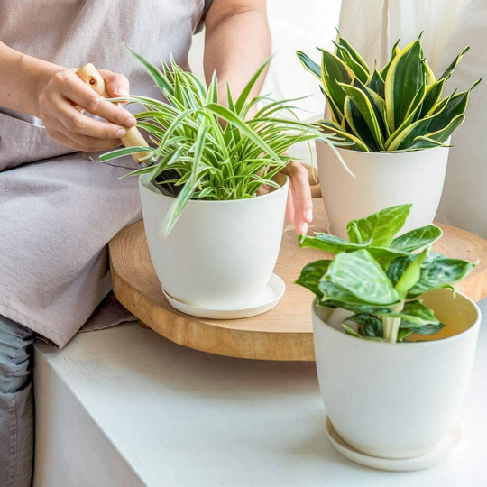 Pack Of Three Plastic Planters Indoor With Saucers