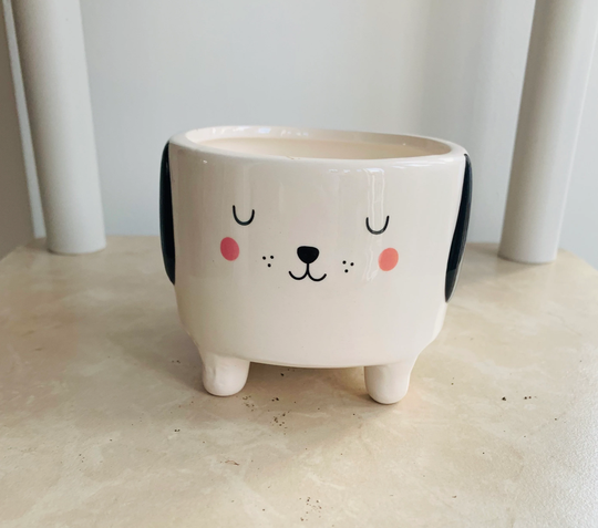 Barney The Dog Cache Pot Indoor Plant