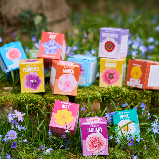 Grow Your Own Birth Flower