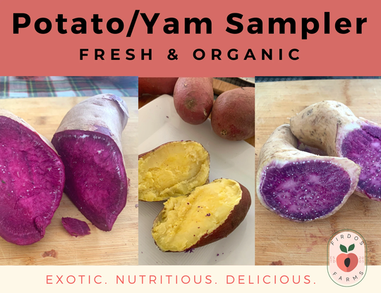 Fresh Organic Potato/Yam Trio/ Hawaiian Yam/Purple Japanese Free Shipping