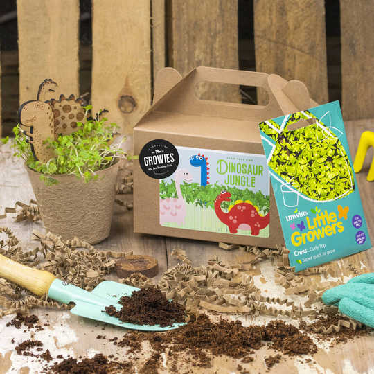 Dinosaur Jungle Seed Kit: Grow Your Own, Kids Party Bag