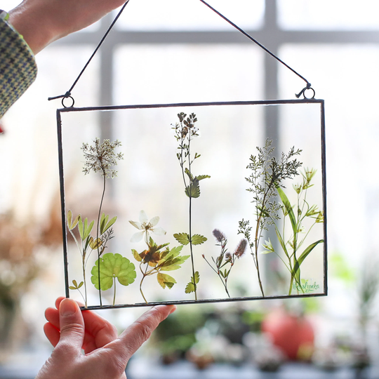 stained Glass Window Hangings With Framed Pressed Summer Flowers. Real Botanicals Plants in Wall Art Hanging. Herbarium Home Decor