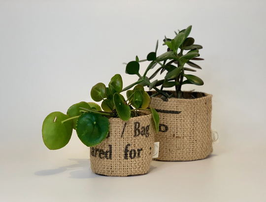 Altered Upcycled Eco Friendly Coffee Sack Pot Planters