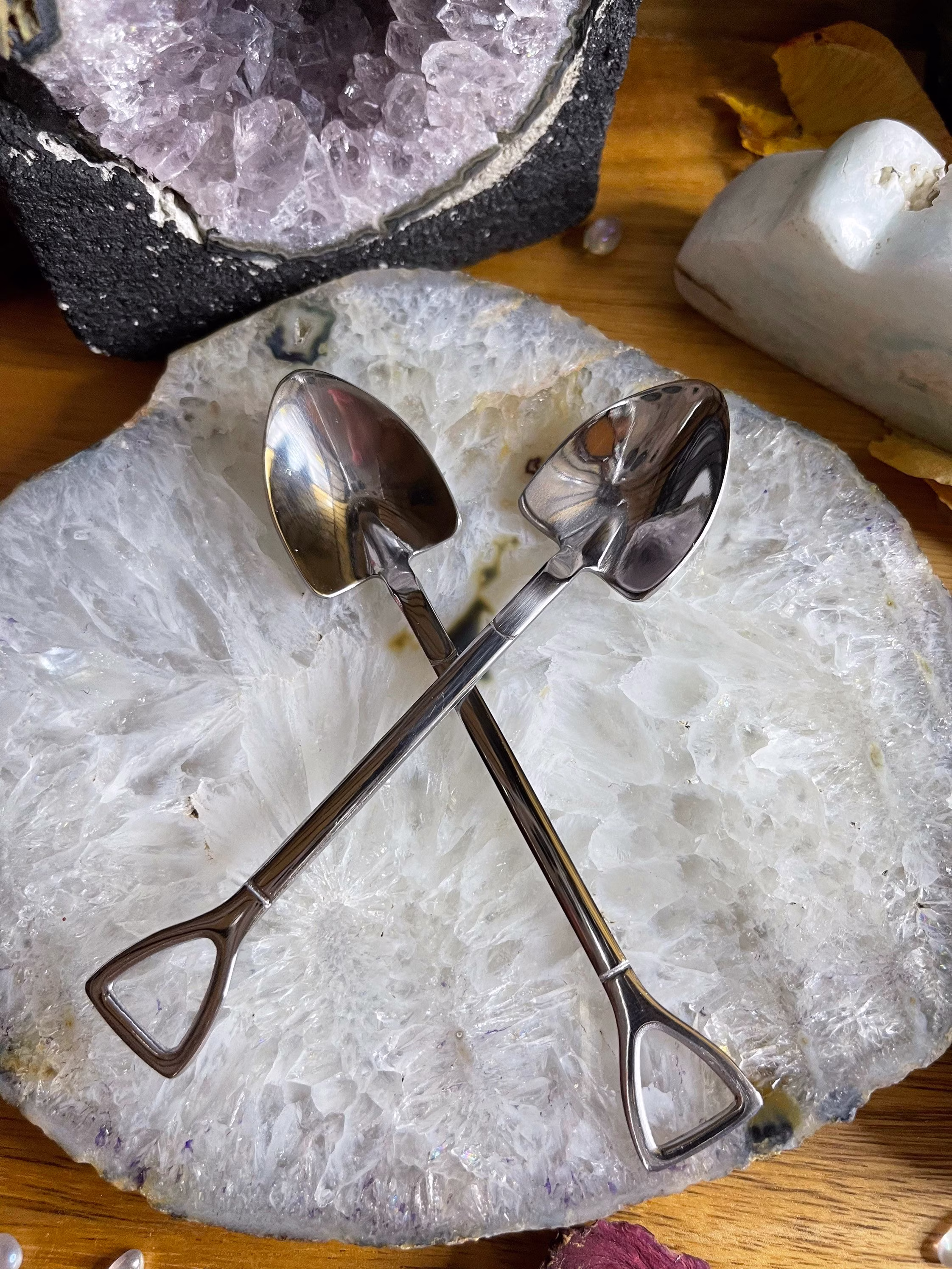 Mini Stainless Steel Shovel/Herb Spoon/Scoop/ Tea Spoon