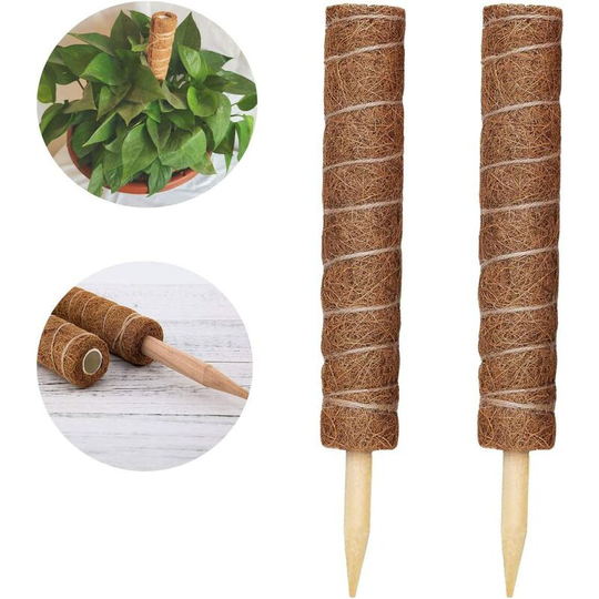 Pcs Plant Stake Coir Stake Coir Stake Coir Stake for Home Garden Plant Climber Plant Support Extension