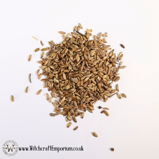 Milk Thistle Seeds - Herb Organic Natural Vegan Pagan Wicca Wiccan Spell Potion Ritual Magic Magick Energy Tea