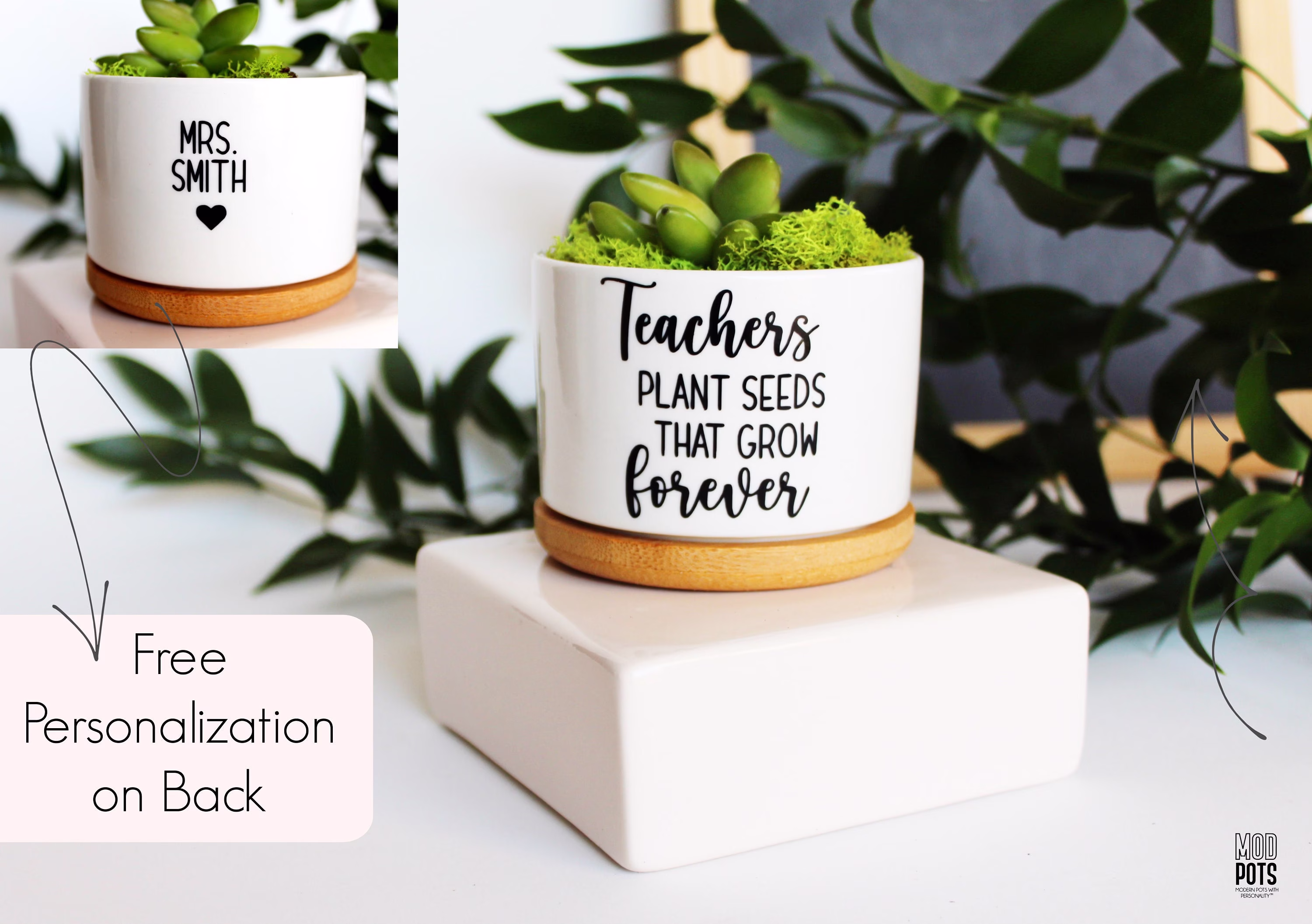 Teachers Plant Seeds That Grow Forever, Teacher Gifts, Chemistry Teacher, Biology Appreciation