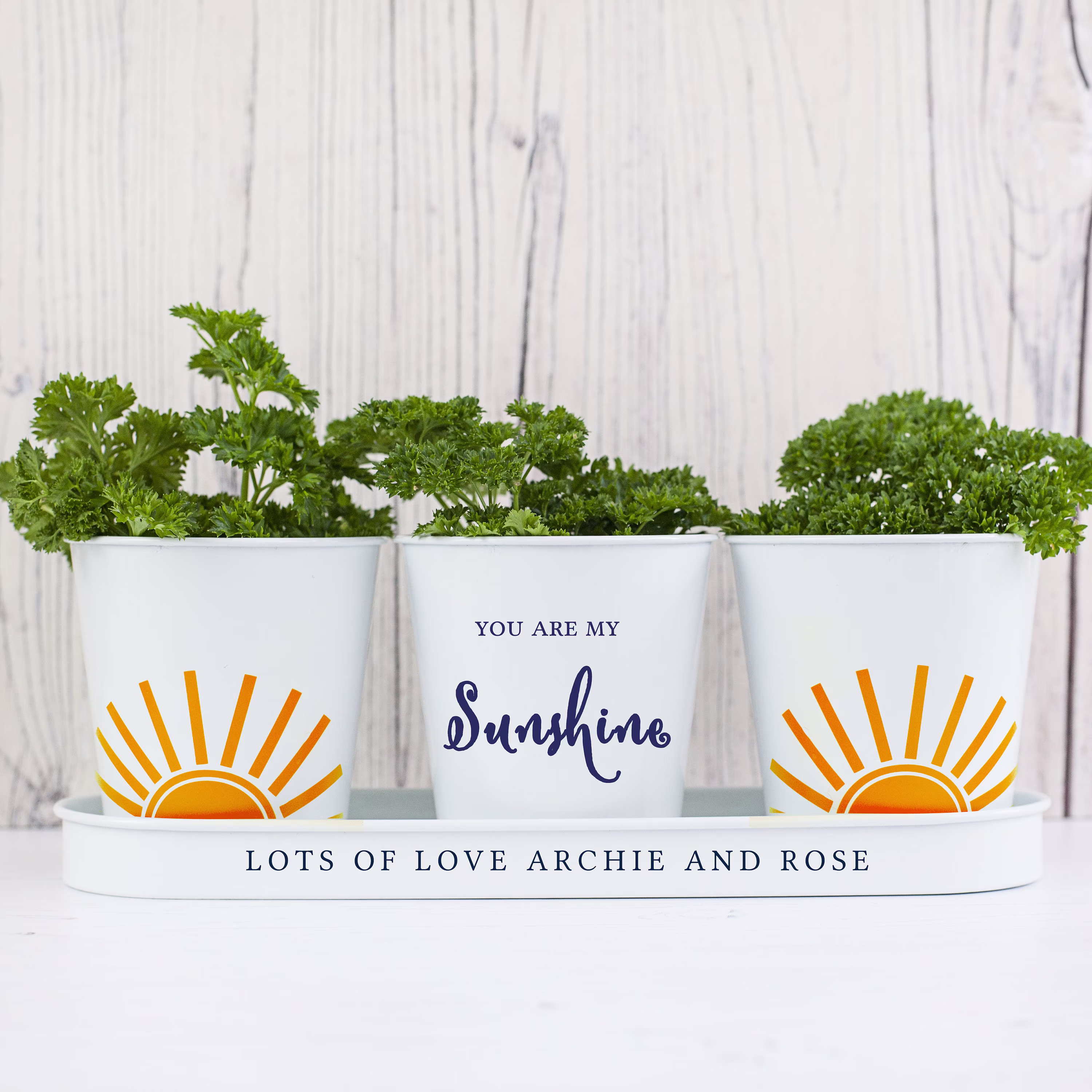 Personalised Flower Pot For Windowsill, Sunshine Plant With Tray Gardener, Herb Garden Gift Him, Gardening Accessories Dads