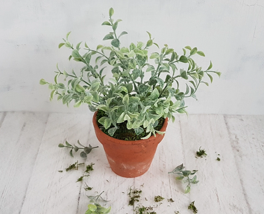 Large Grey Green Plant in Old Terracotta Pot Artificial Plants Faux Realistic Planter Clay Gift Home Decor