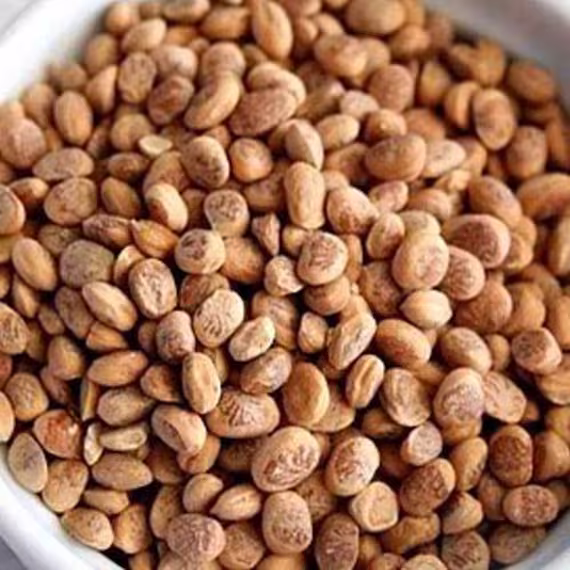 Dry Fruit Buchanania Lanzan Charoli Chironji Garnishing Ayurveda Unani Sweet Dish Herbs & Spices Cuddapah Almonds By Balsara's