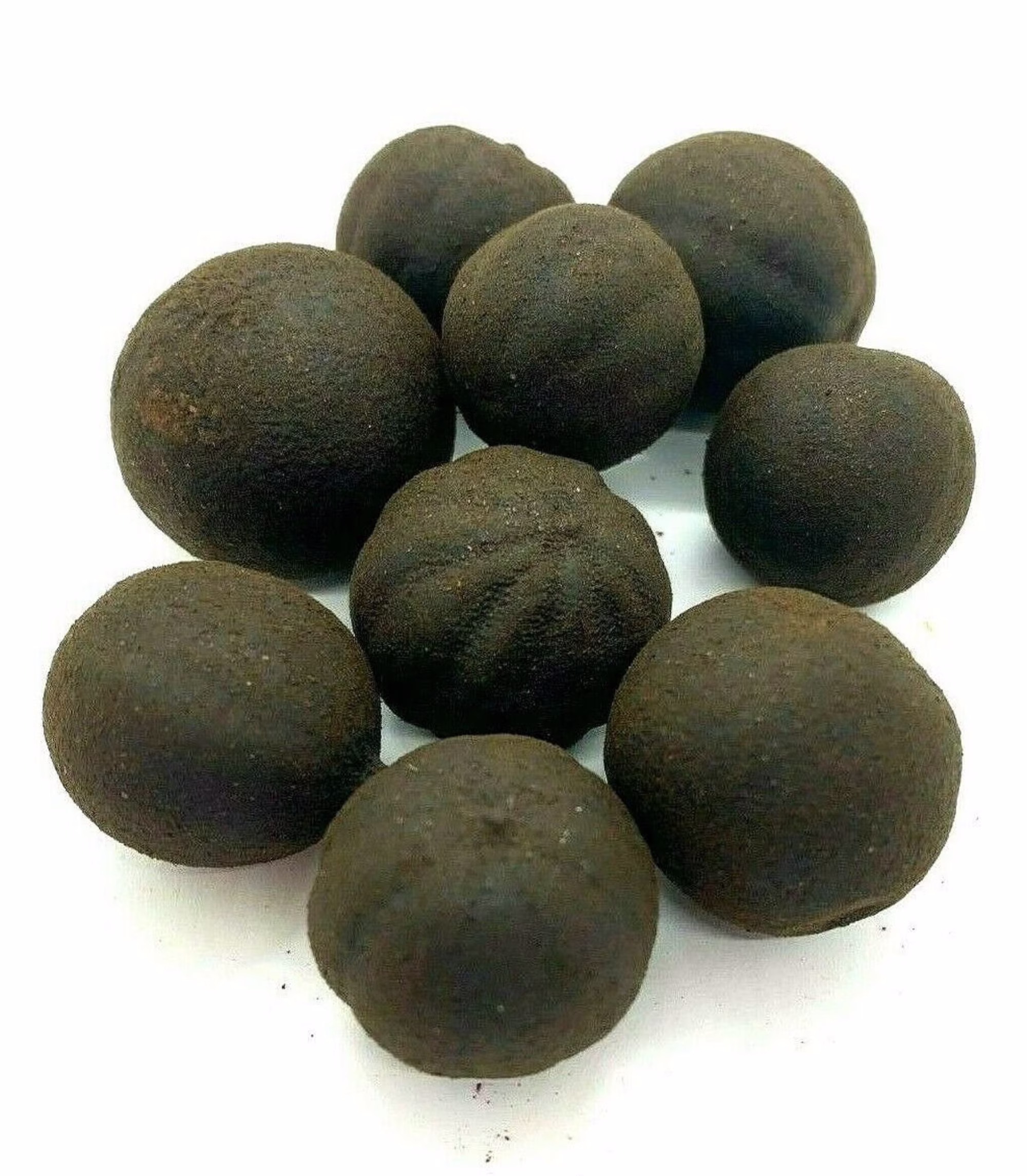 Lemon Black Persian Natural Whole Chamomile in Holy Land Black Organic
