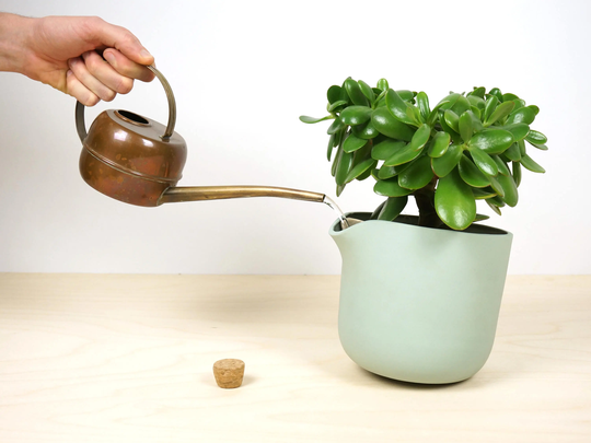 Self Watering Flowerpot, Selfwatering, Reservoir, Cactus, Succulents Self Sustaining Flowerpots, Natural Balance, Smart Kickstart