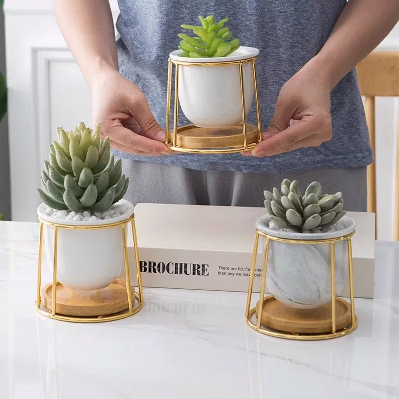 Simple & Cute Succulent Planter Pot With Drainage Hole Saucer