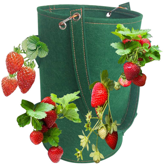 15 x 9 Inch Strawberry Grow Bags with 8 Grow Holes Hanging Planter Box Vegetable Grow Bag - Green