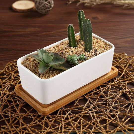 Set Of Two Rectangle Ceramic Planters