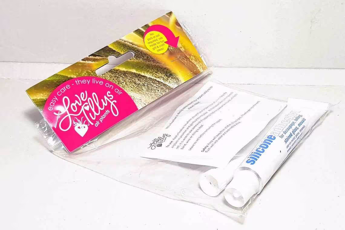 Air Plant Adhesive | Friendly Glue Attach Live Plants To Wood, Rocks, Reindeer Moss, Craft Work, Floral Decoration
