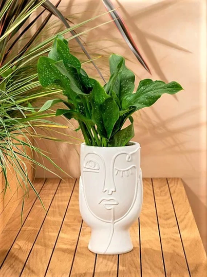 Face Planter, Abstract Art Pot, Beauty Planter With Drainage