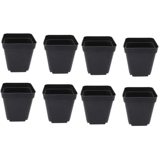 50 Pack Black Seedling Buckets - Square Plastic Planters - Small Indoor & Outdoor Planters (Black/6.5 x 5 x 6.5cm)