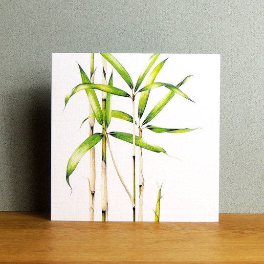 Bamboo Greetings Card