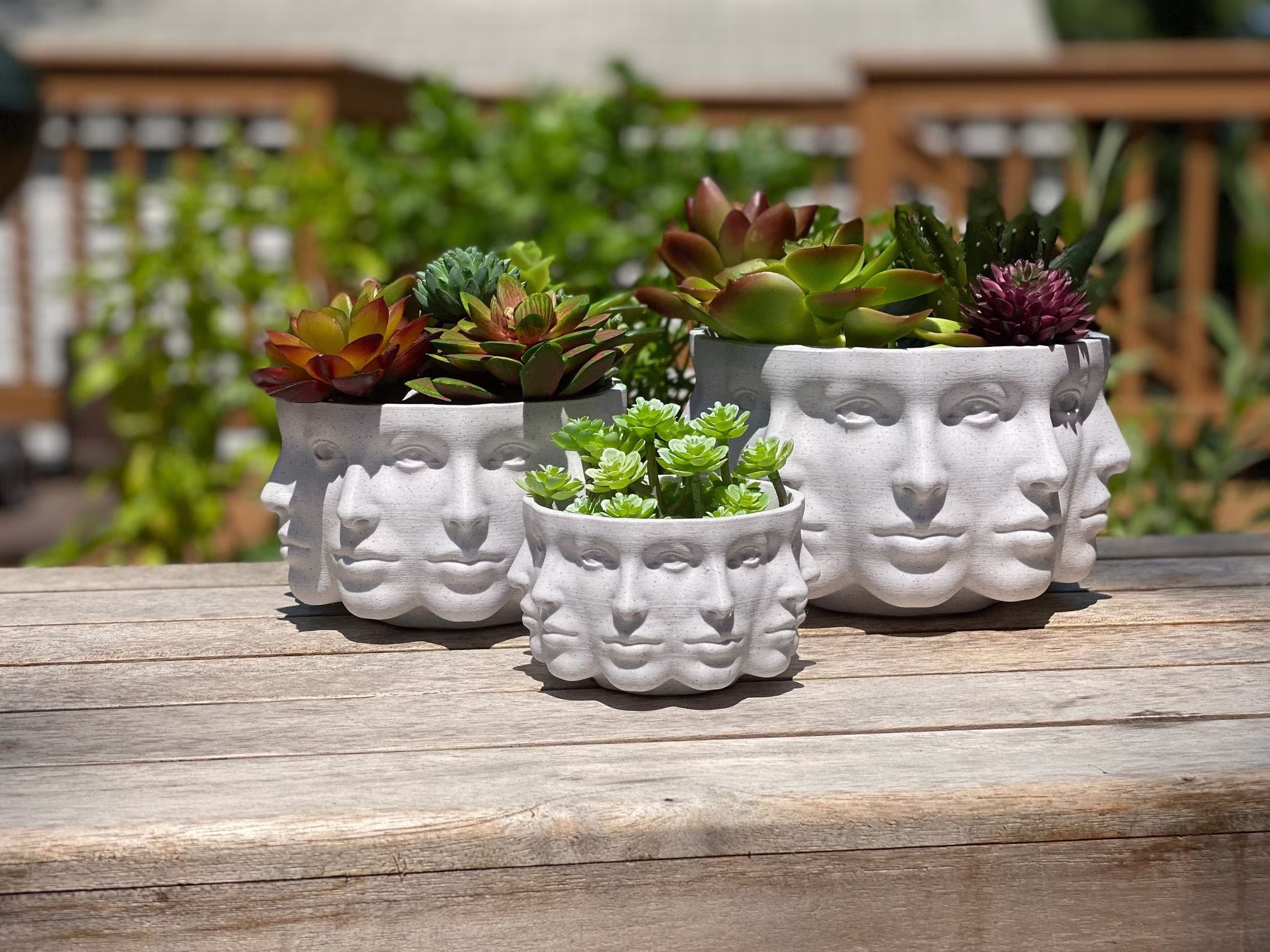 3D Printed Polyface Planter Pot For Succulents & Cacti